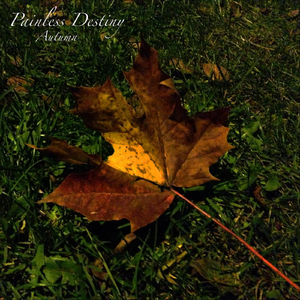 亚洲成年女人AV毛片性性教育
